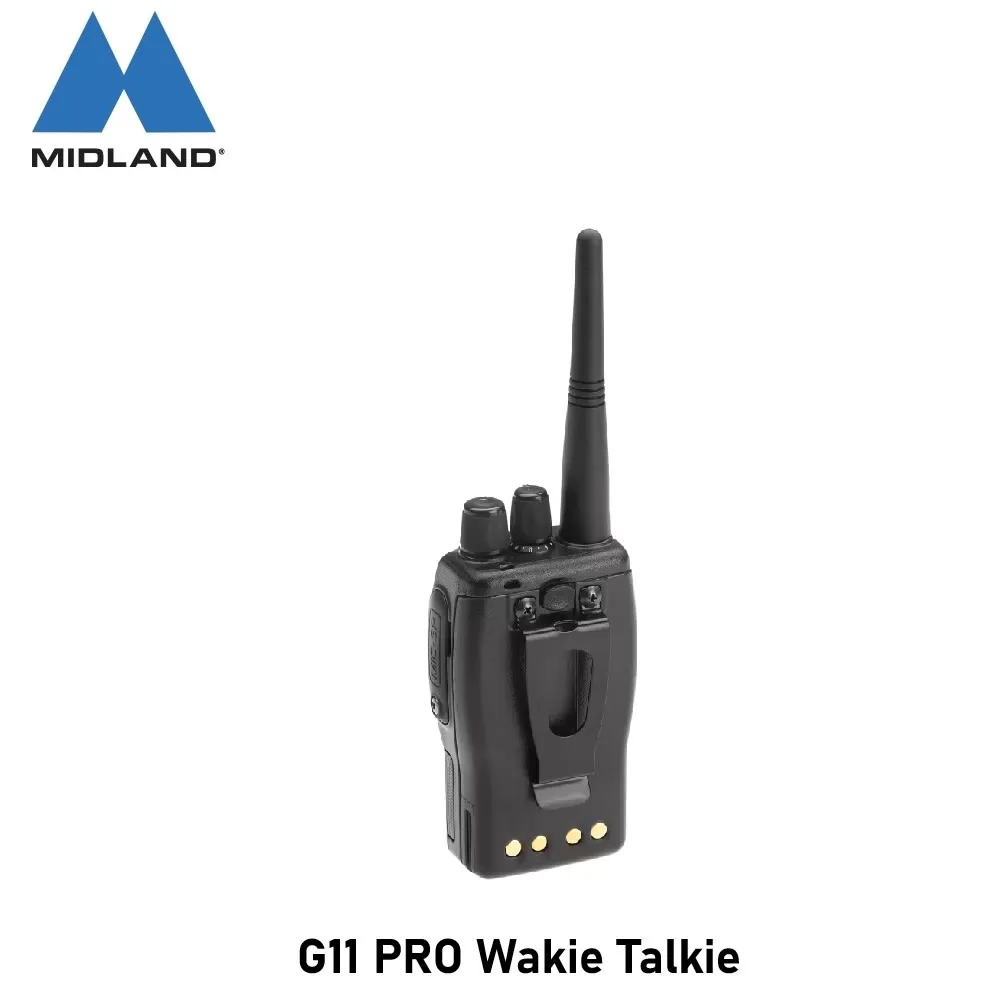 g11 1.webp