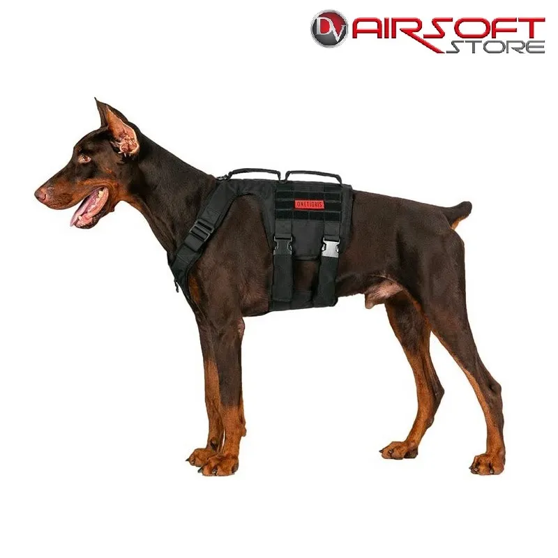 [2100000054466] GLADIATOR Support Harness (M)