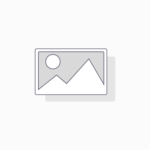 Douanekosten